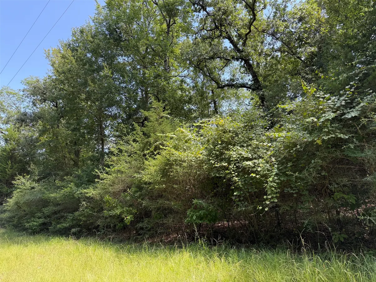 16 ac Cr 321, Jewett, TX 75846 - #1