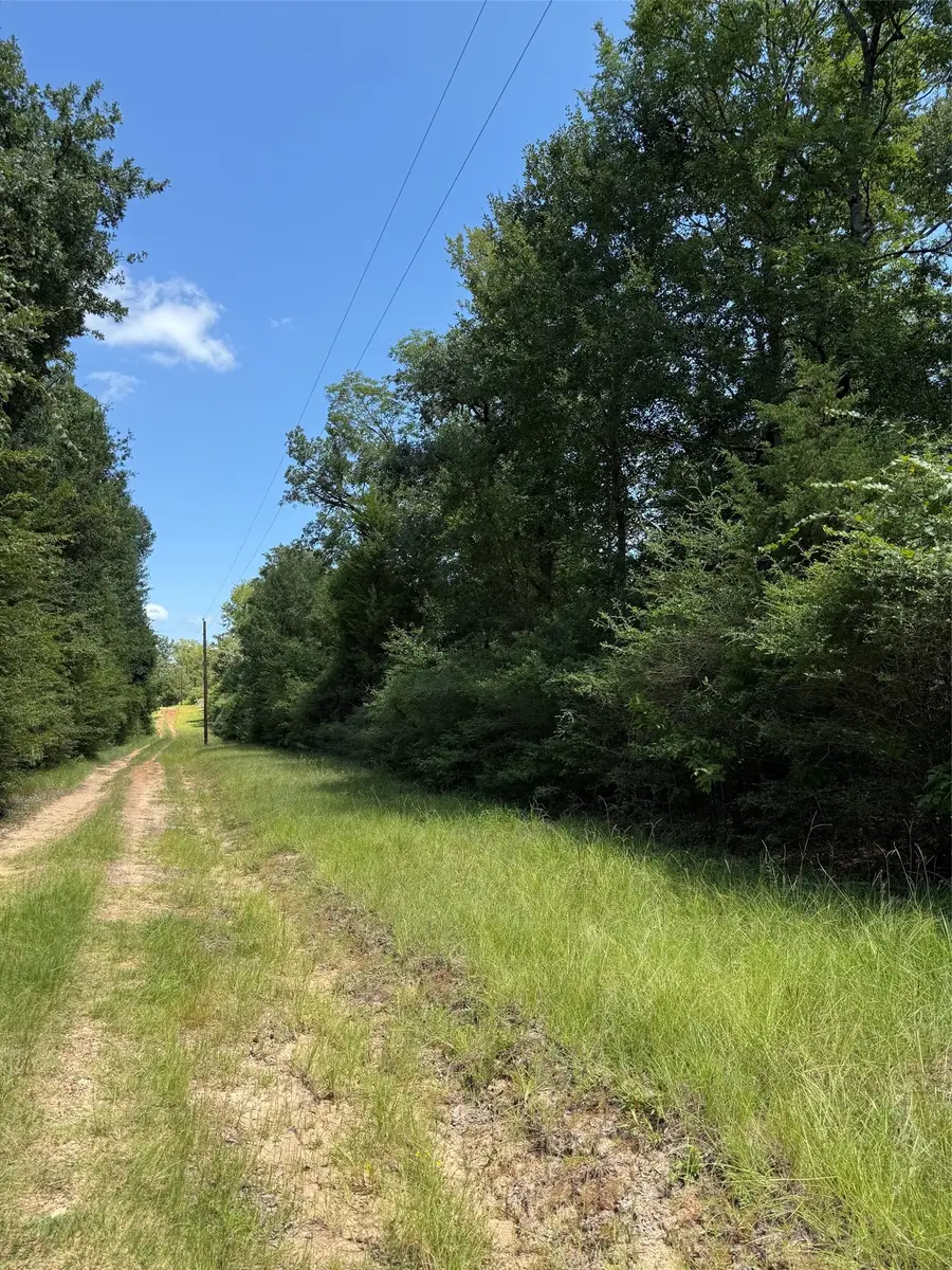 16 ac Cr 321, Jewett, TX 75846 - #2