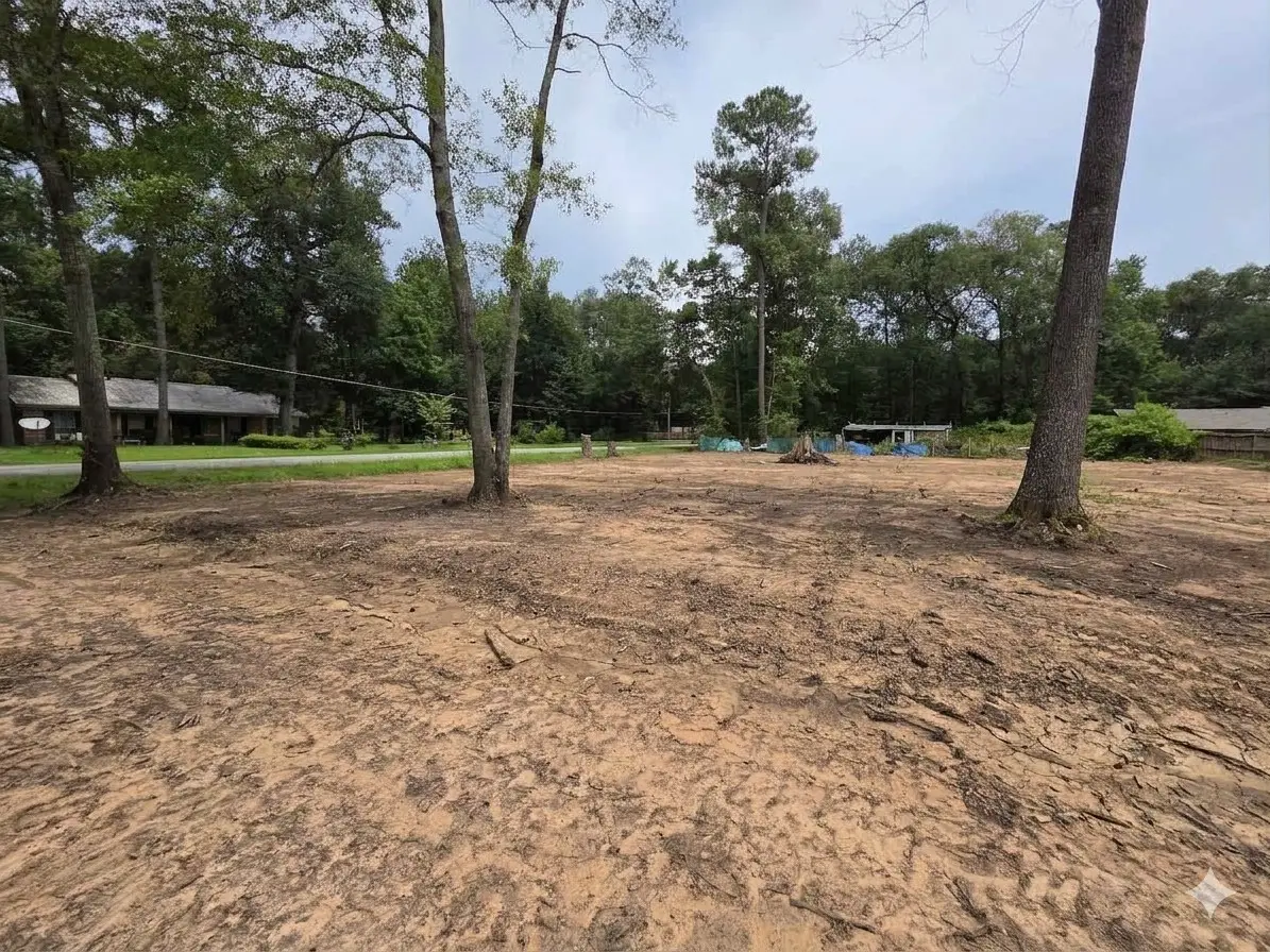 26464 Lantern Lane, New Caney, TX 77357 - #1