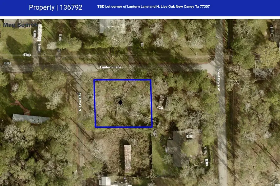 26464 Lantern Lane, New Caney, TX 77357 - #3
