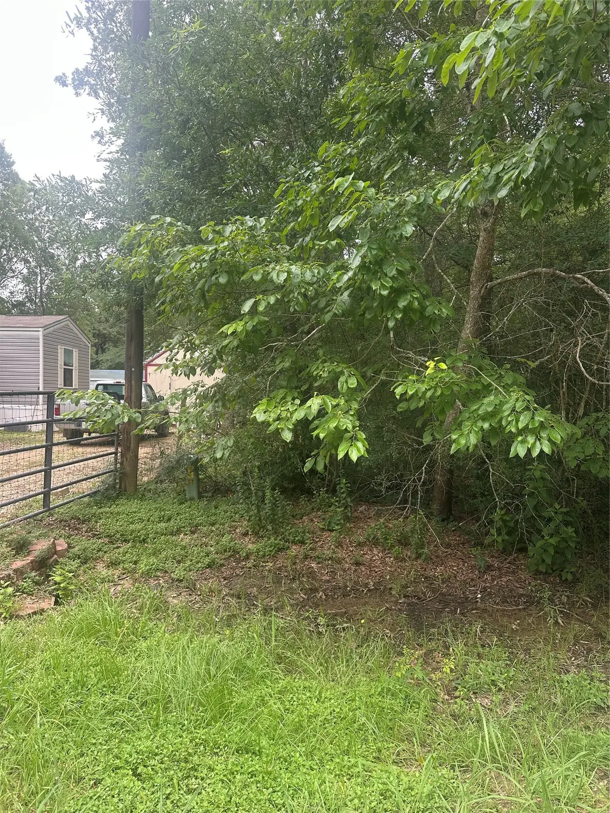 TBD Oakridge, Livingston, TX 77351 - #1