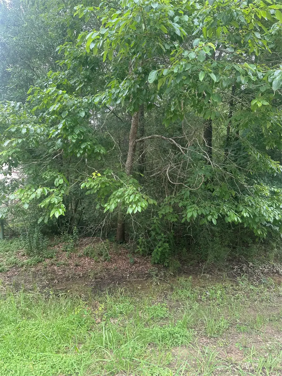 TBD Oakridge, Livingston, TX 77351 - #3
