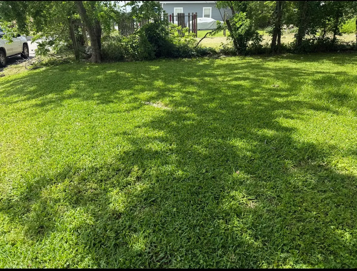 1409 Bringhurst Street, Houston, TX 77020 - #1