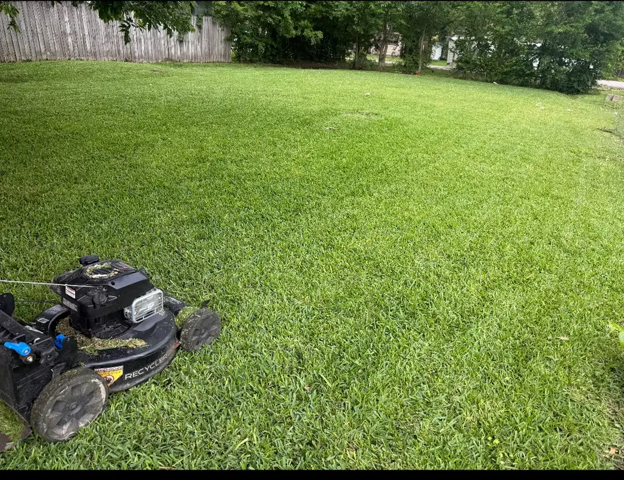 1409 Bringhurst Street, Houston, TX 77020 - #3