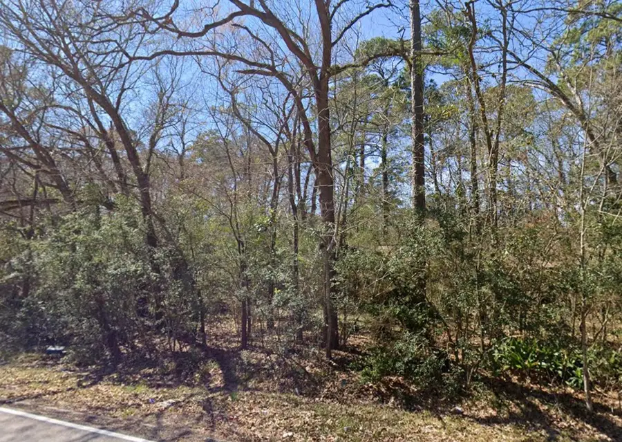 29803 Spring Forest Drive, Spring, TX 77386 - Image #2