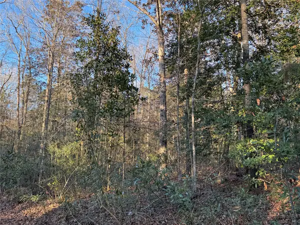 2511 County Road 4280, Woodville, TX 75979