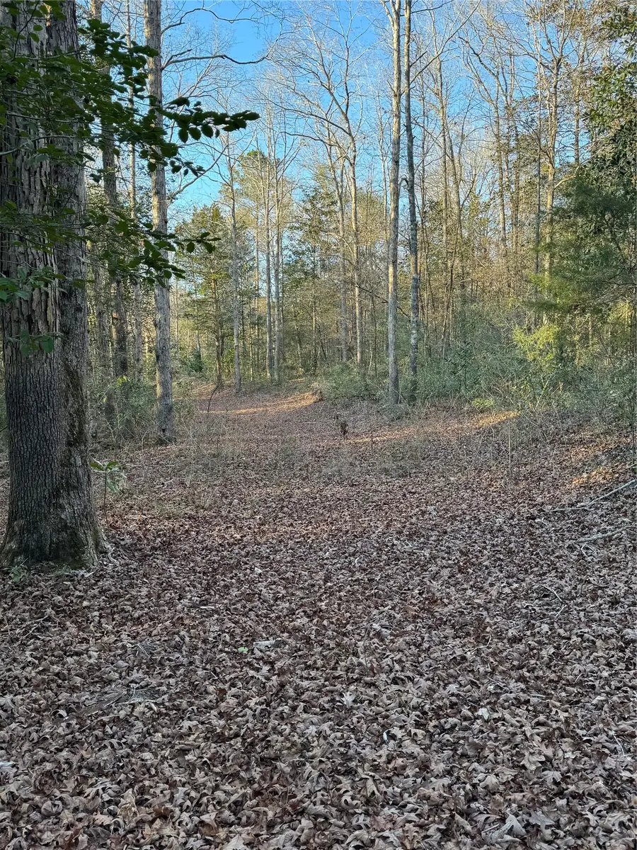 2511 County Road 4280, Woodville, TX 75979 - Image #2