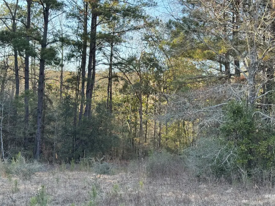 2511 County Road 4280, Woodville, TX 75979 - Image #3