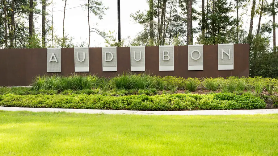 406 Audubons Shearwater Way, Magnolia, TX 77354 - #3