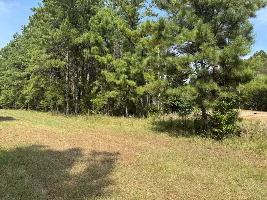 511 Queen Anne Way, Huntsville, TX 77340 - #3