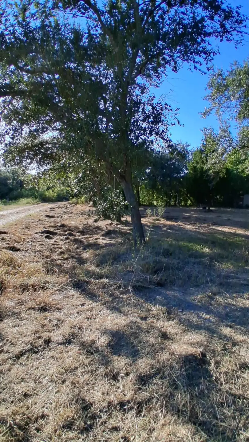 2155 Thomas Road, Winnie, TX 77665 - Image #3