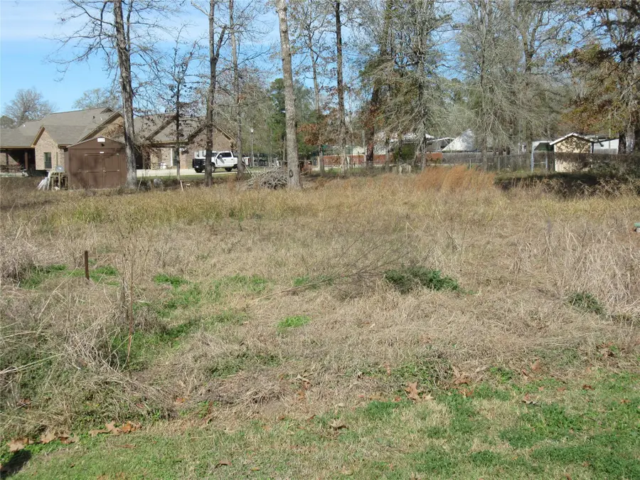 50 Hidden Oaks, Point Blank, TX 77364 - Image #2