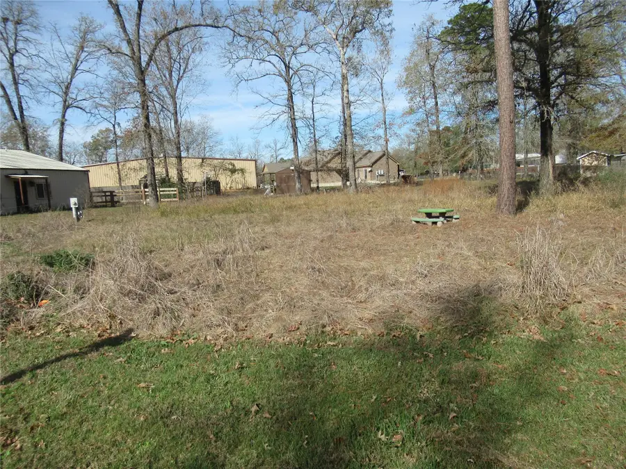 50 Hidden Oaks, Point Blank, TX 77364 - Image #3