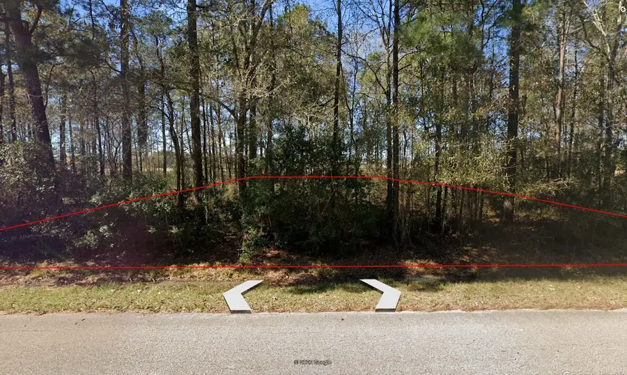 000 Dogwood Lane, Houston, TX 77339 - #3