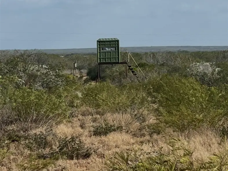 00 Hwy 339, Freer, TX 78384 - #2