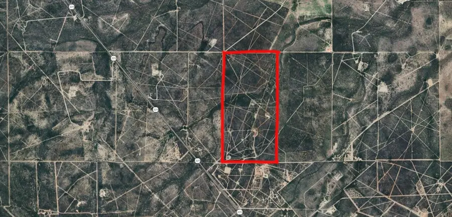 00 Hwy 339, Freer, TX 78384 - #3