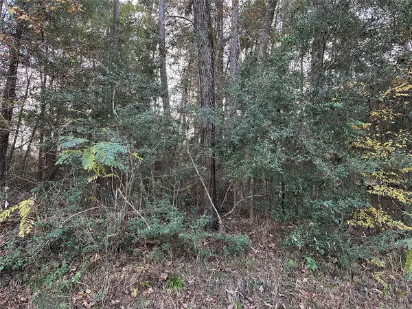 TBD Gary Court, Livingston, TX 77351