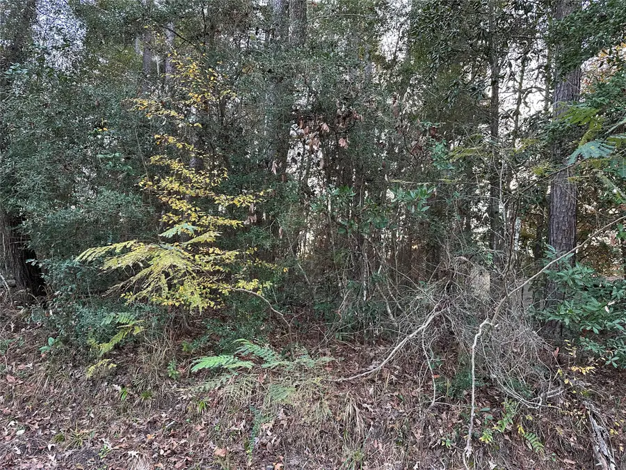 TBD Gary Court, Livingston, TX 77351 - #3