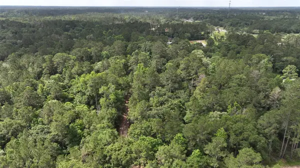 0 Todd Mission Drive, Plantersville, TX 77363