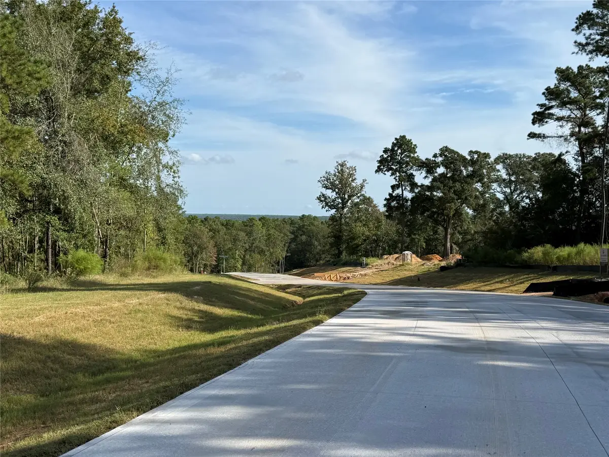 99 Pine Timber Dr, Willis, TX 77378 - #1