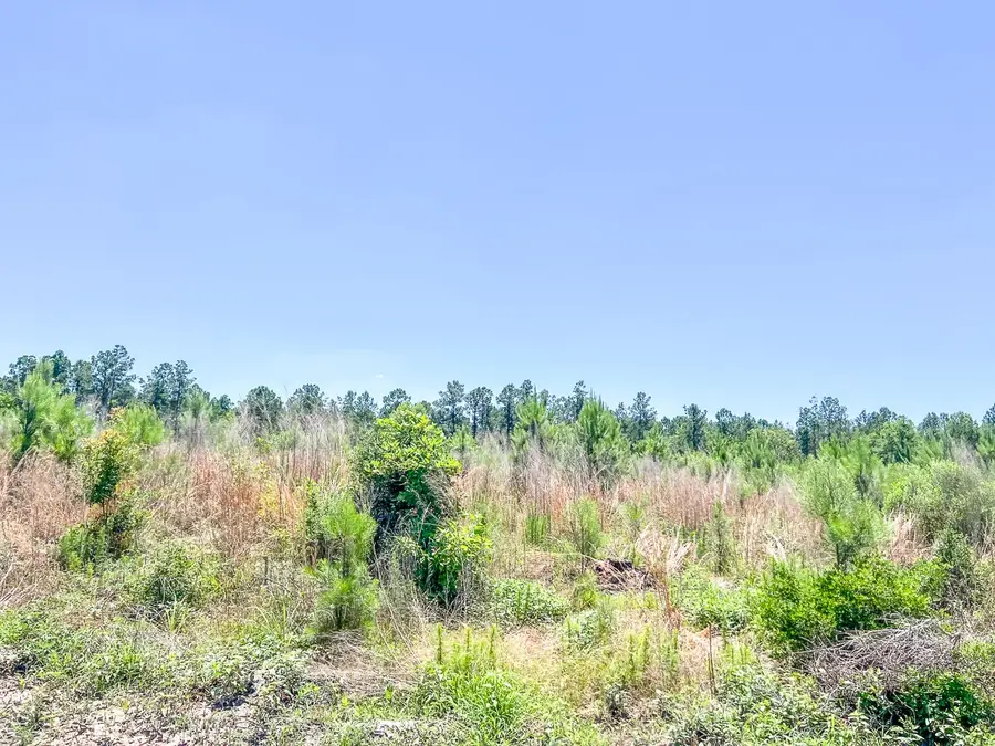T-4 Union Springs Road, Corrigan, TX 75939 - #2