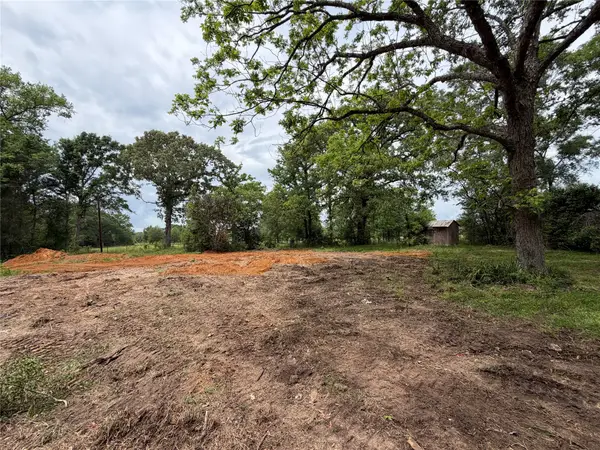 4831 Menard Chapel Road, Livingston, TX 77351