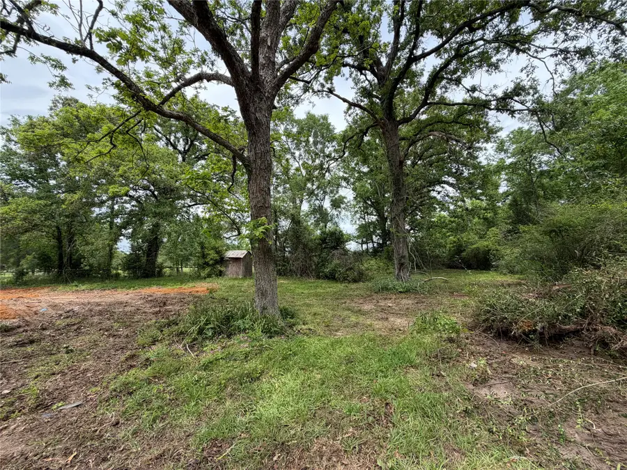 4831 Menard Chapel Road, Livingston, TX 77351 - #3