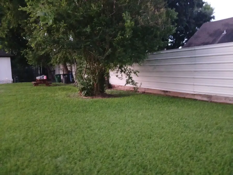 3219 Evella Street, Houston, TX 77026 - #2