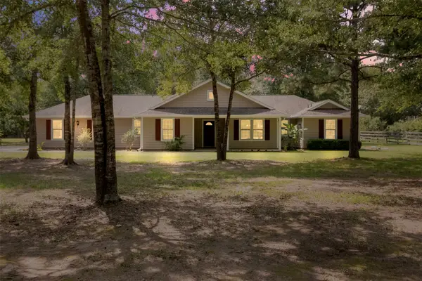 17302 Coachwhip Court, Waller, TX 77484