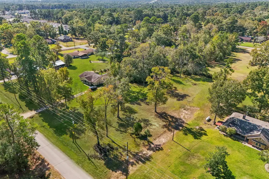 0 Youpon Lane, Porter, TX 77365 - Image #2