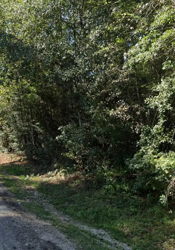 15746 Walnut Drive, Montgomery, TX 77356