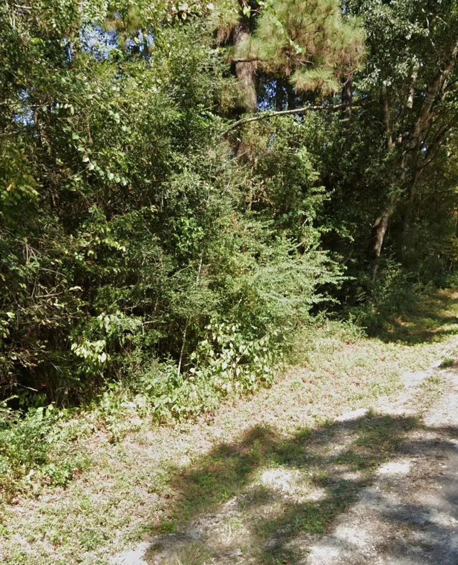 15746 Walnut Drive, Montgomery, TX 77356 - Image #2