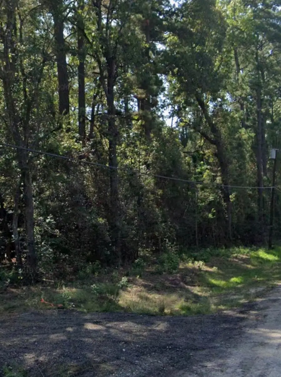 15746 Walnut Drive, Montgomery, TX 77356 - Image #3