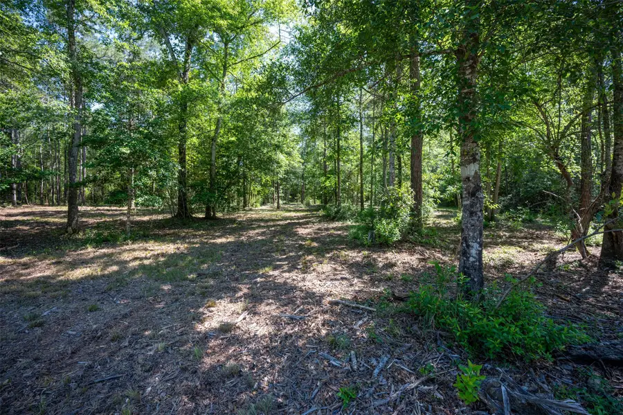 tbd County Road 4472, Warren, TX 77664 - #2