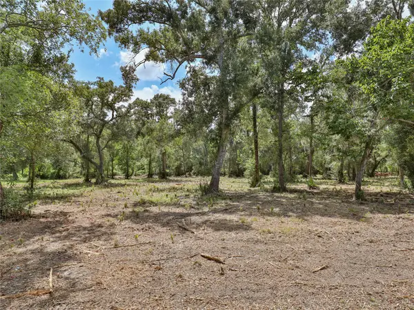 2289 Cr-851, Brazoria, TX 77422