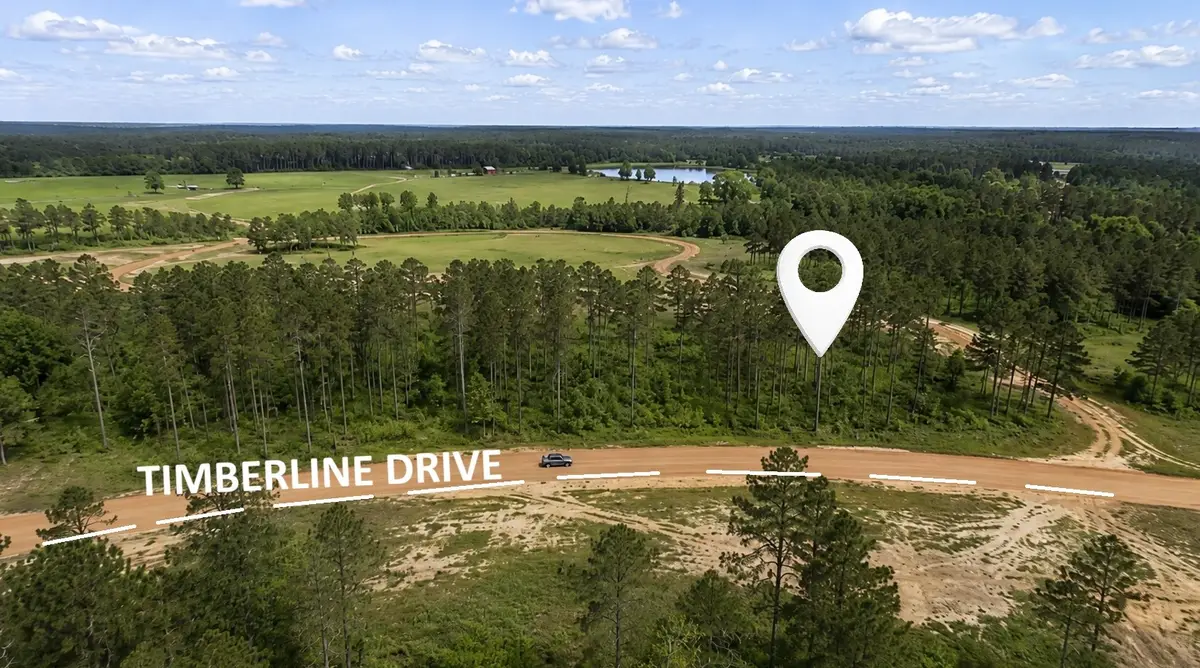 000 Timberline Dr, Hillister, TX 77624 - #1