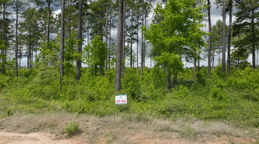 000 Timberline Dr, Hillister, TX 77624 - #2