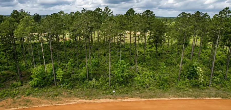 000 Timberline Dr, Hillister, TX 77624 - #3