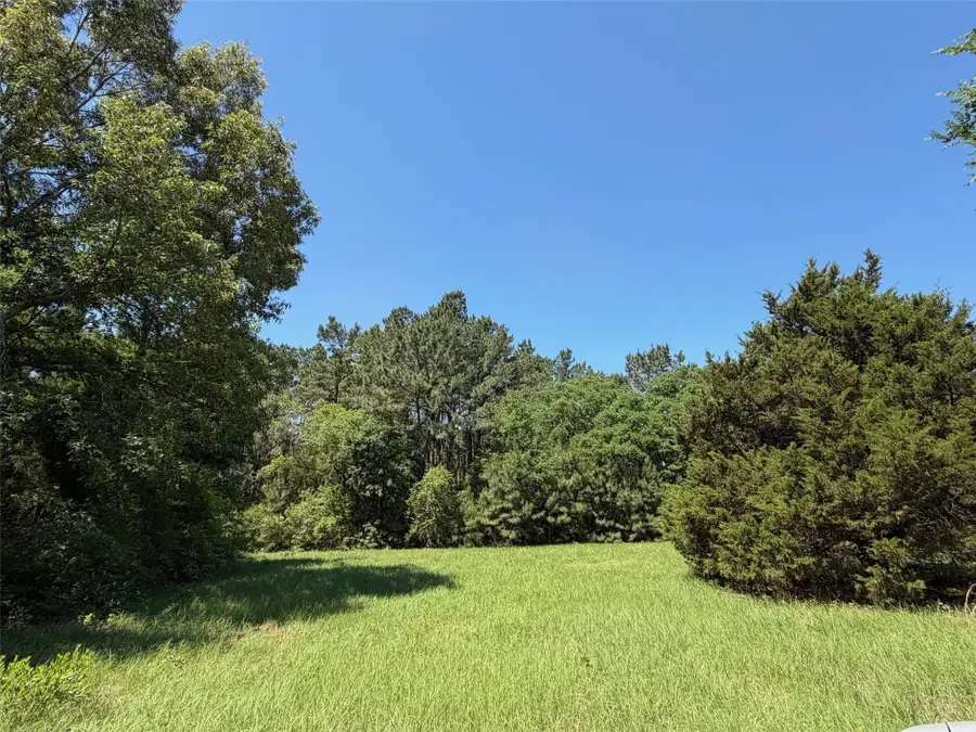 TBD Highway 75 South, Buffalo, TX 75831 - #2