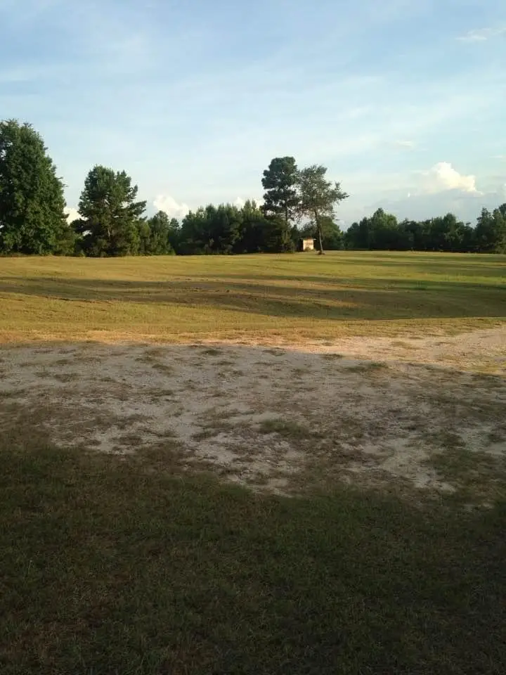 655 Colony Park Dr Trinity Drive, Trinity, TX 75862 - Image #3