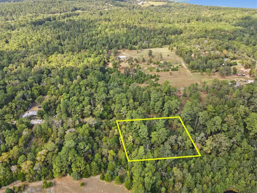 TBD The Woods Rd Lot 46 Road, Coldspring, TX 77331 - #2