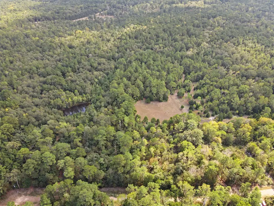 TBD The Woods Rd Lot 46 Road, Coldspring, TX 77331 - #3