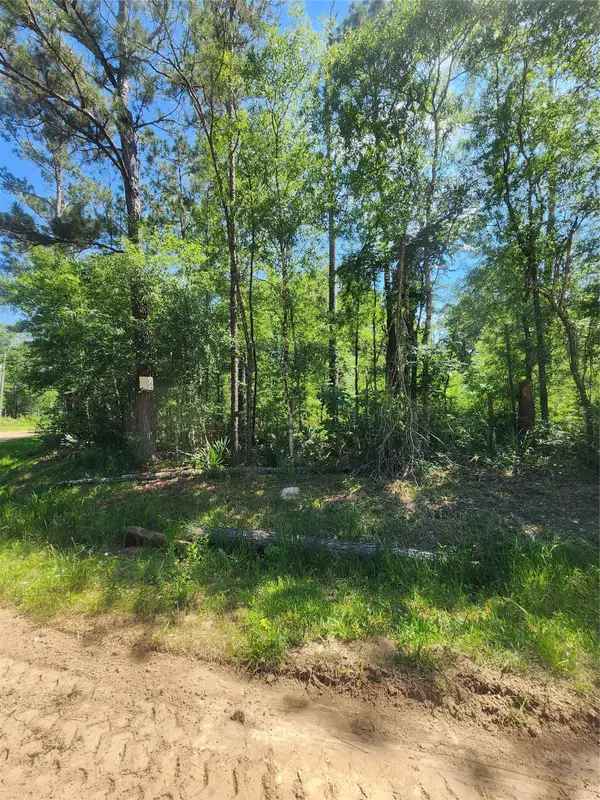 03 Cindy Lane, Shepherd, TX 77371
