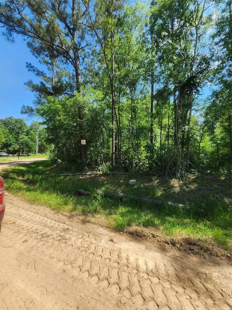 03 Cindy Lane, Shepherd, TX 77371 - #3