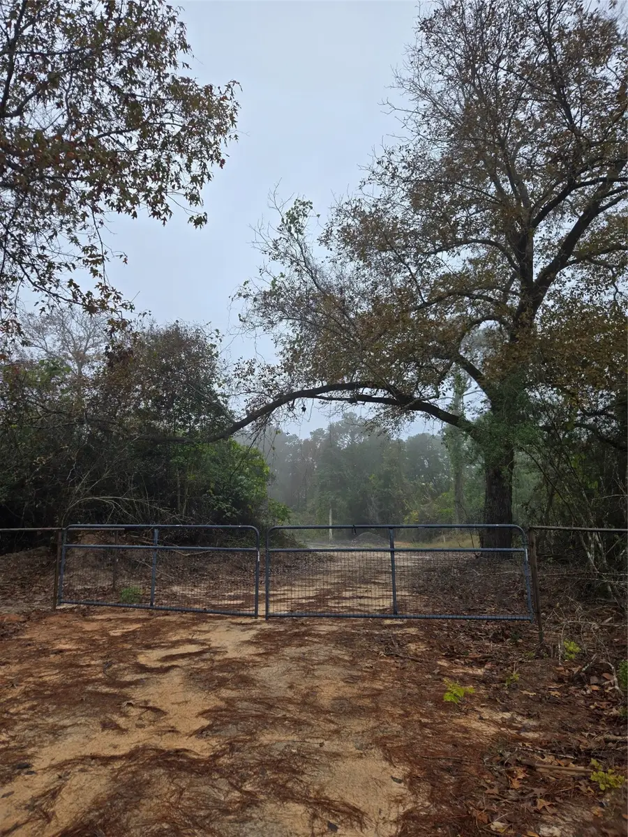 1017 County Road 3325, Colmesneil, TX 75938 - Image #2