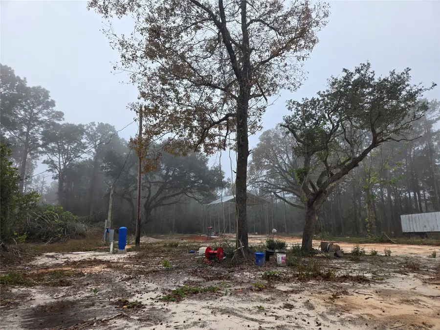 1017 County Road 3325, Colmesneil, TX 75938 - Image #3