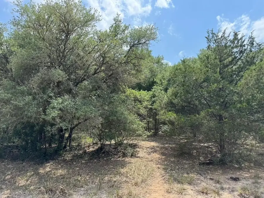 TBD County Road 122, Hallettsville, TX 77964 - #2