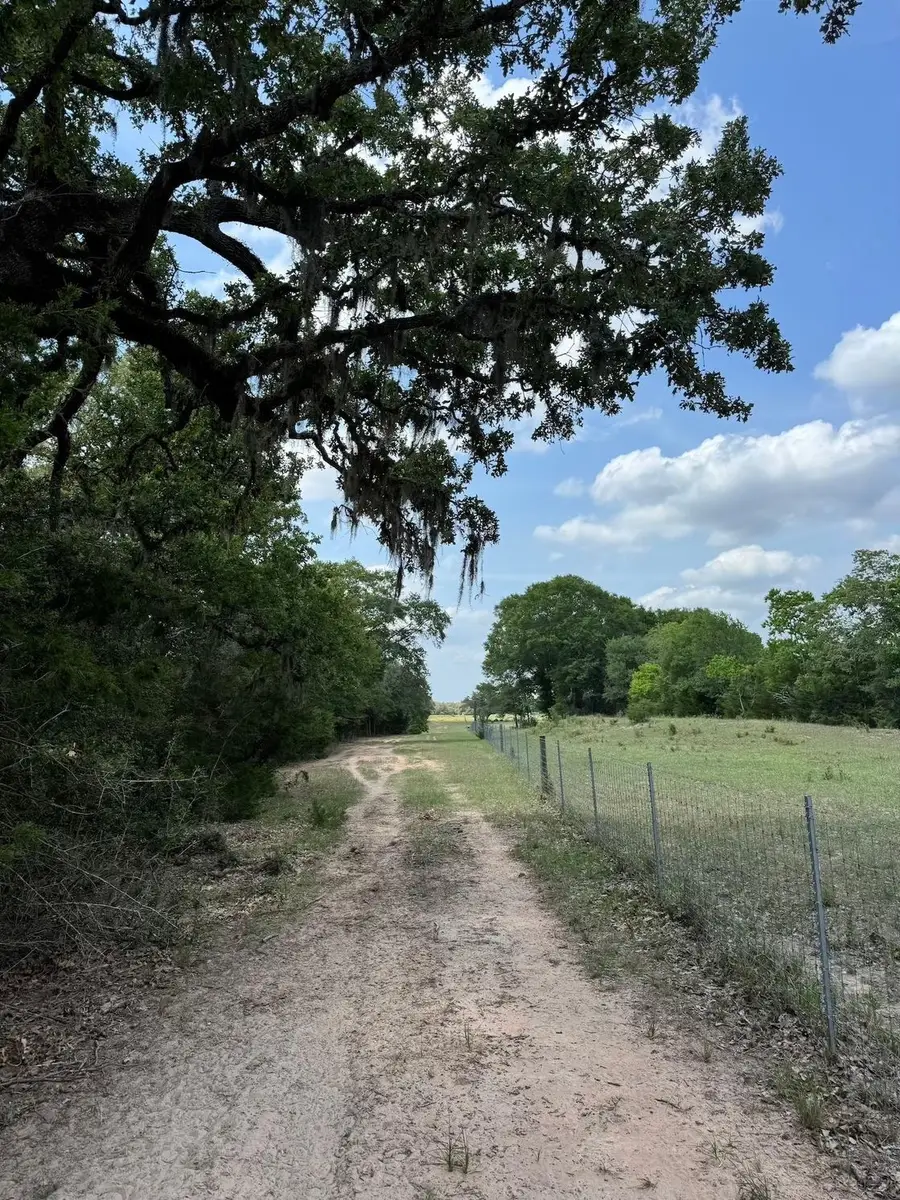 TBD County Road 122, Hallettsville, TX 77964 - #3