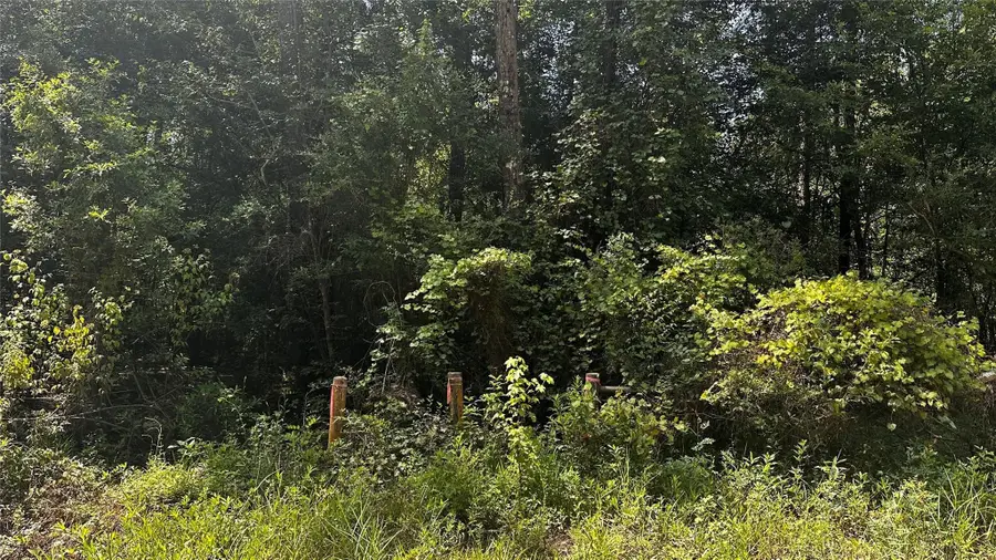 S05350 Wingfield Drive, Lumberton, TX 77657 - Image #3