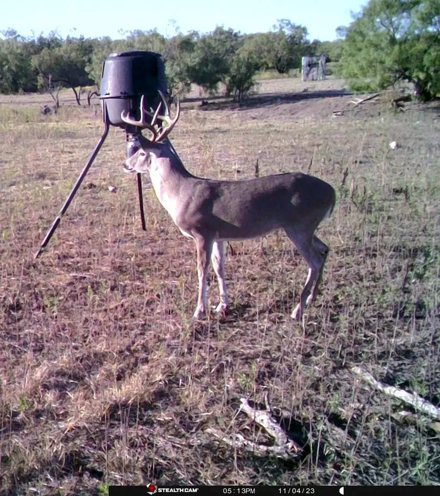 88291 Suaa Rd Well, Lohn, TX 76852 - Image #3